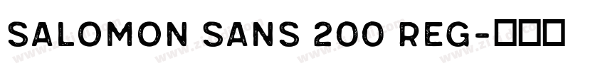 SALOMON Sans 200 Reg字体转换 SALOMON Sans 200 Reg字体转换